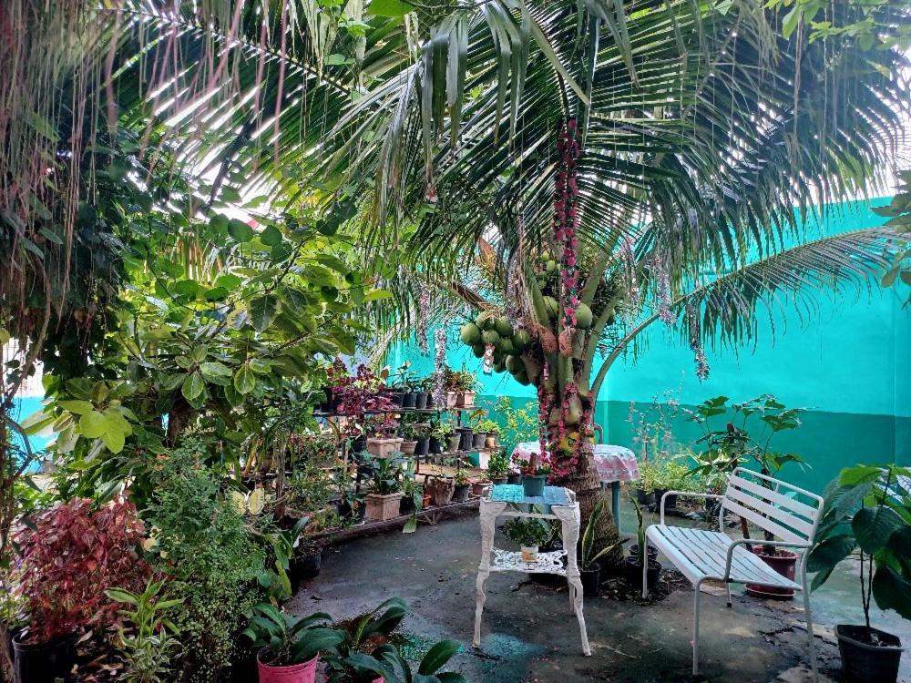 Pete'S Inn Roxas City Exteriér fotografie